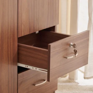Furniveda Nova 2-Door Wardrobe with Mirror & Drawers - Image 8